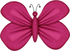 BBD_butterfly2