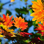 god-wallpapers.blogspot.com (65).jpg