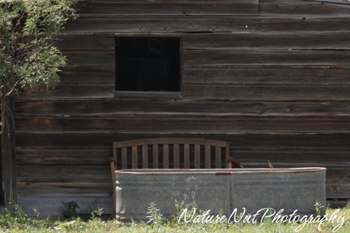 Old Barn1