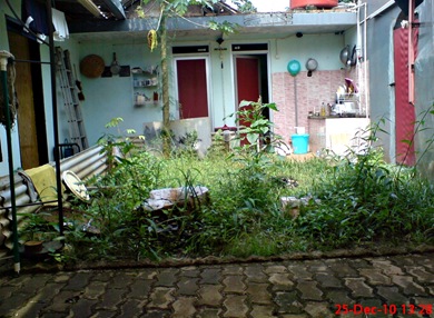 the backyard in jonggol