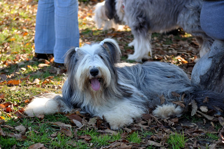 DSC_3768.JPG