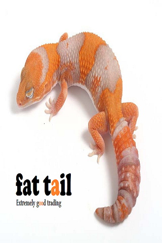 【免費財經App】fat tail tv-APP點子