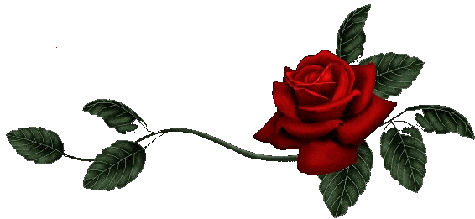 7a2ebfb2.gif