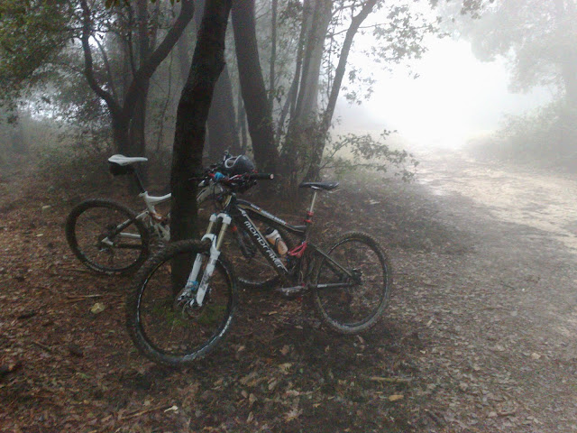 01022011089.jpg