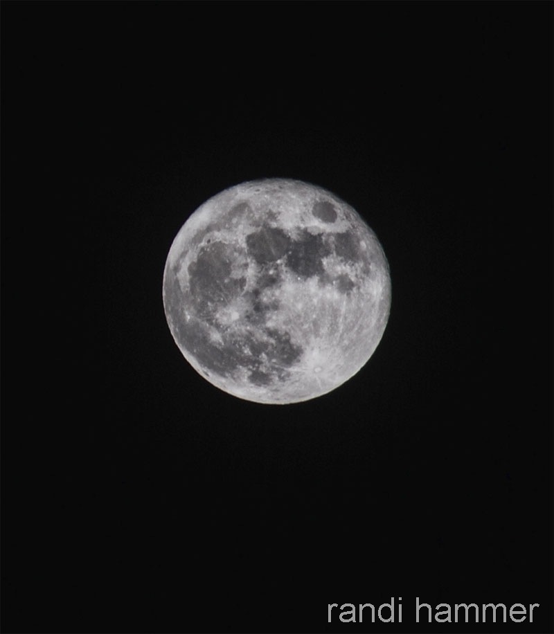 [my moon[3].jpg]