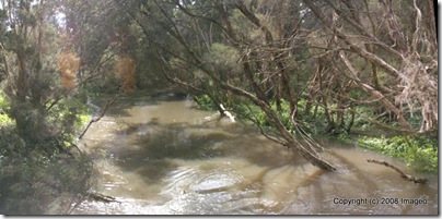 multi-image panorama of dandenong creek