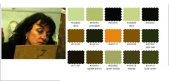 Colour choosen by Palette Generator