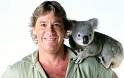 Steve Irwin loved chimps