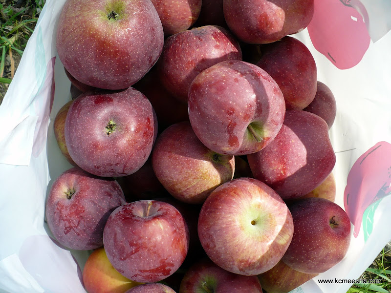 Them Apples Kansas City With The Russian Accent