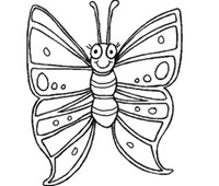 jyc mariposas (10)