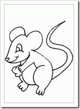 raton (3)