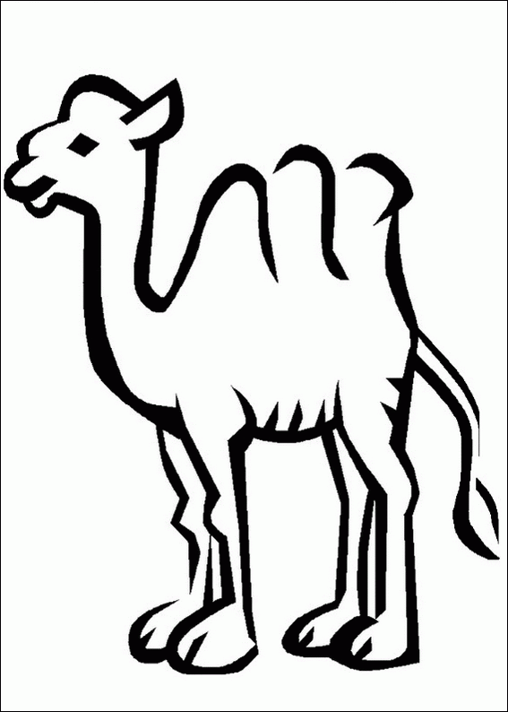 [camellos  (10)[2].gif]