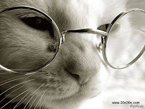 عکسهای باحال و بانمک حیوانات