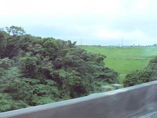 沖縄自動車道から堤体下流側を望む（その1）
