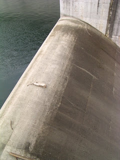 View of flood discharge