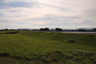 View of the levee from the hillside