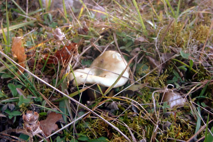 DSC03855.JPG