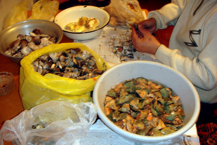 DSC03892.JPG