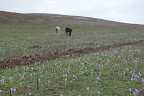 DSC03767.JPG