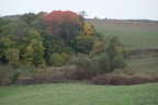 DSC03789.JPG