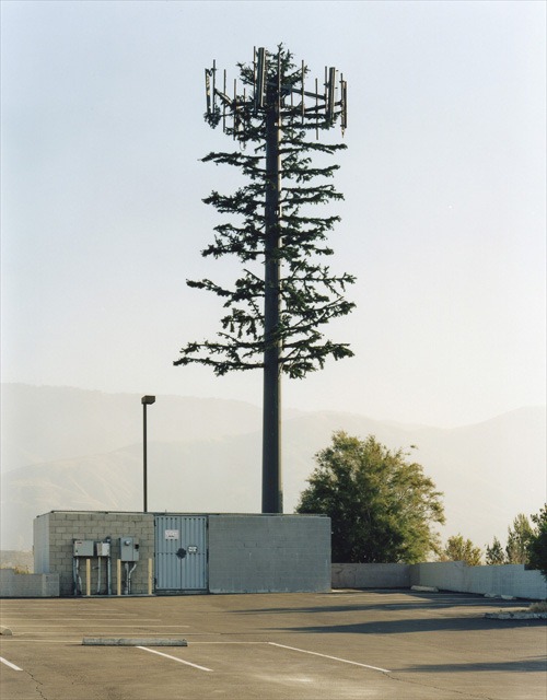 cell-phone-trees (18)