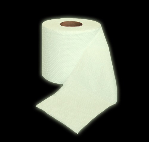 toilet-paper (2)