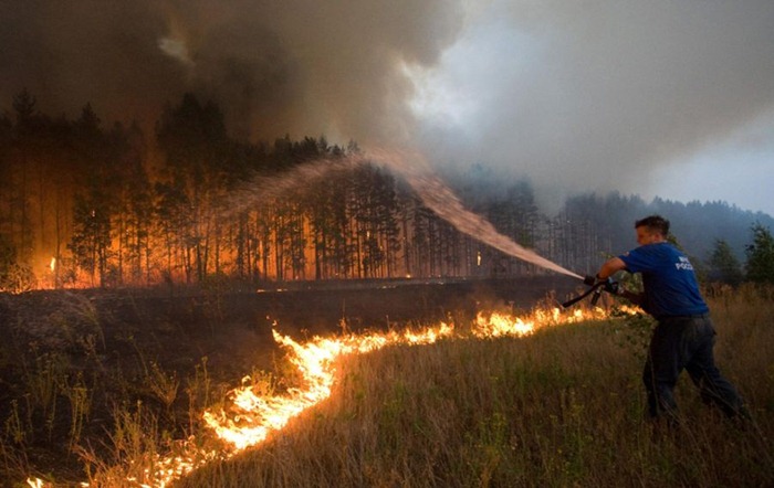 russia-forest-fire (3)