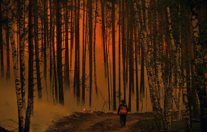 russia-forest-fire (20)