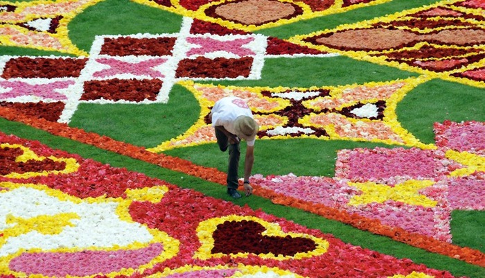 brussels-flower-carpet (1)