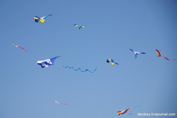 japanese-kite-festival (26)