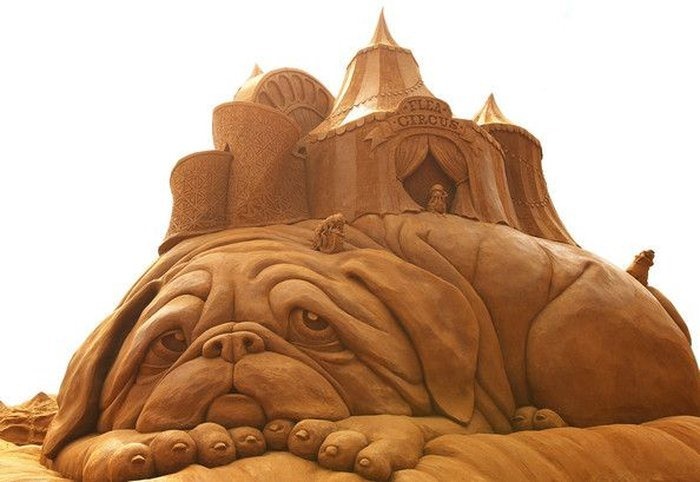 sand-sculpture-Frankston19
