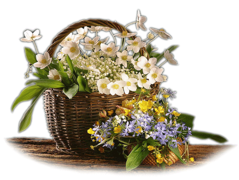 Grisi_Natur_302.png