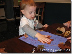 IMG_6085 IMG_6085