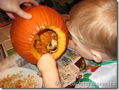 IMG_6515 IMG_6515