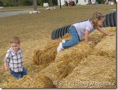IMG_6273 IMG_6273