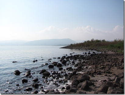 Sea of Galilee Shoreline 2
