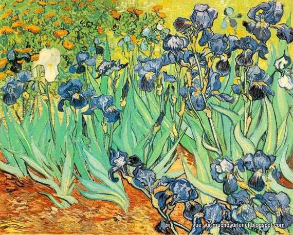  Iris de Vincent van Gogh 