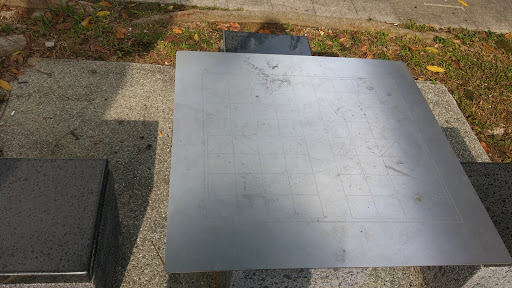 Chinese Chess Board At Thrift Drive Park