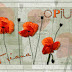 Opium.jpg