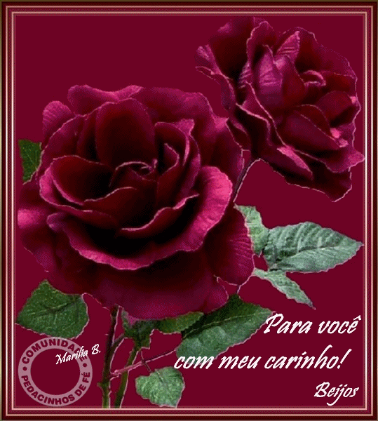 rosarosa14.png