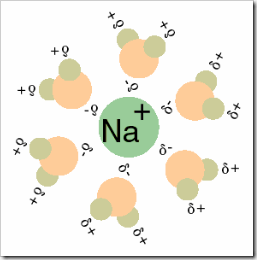 solvatação do ião sódio em H2O