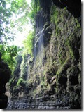 wildlife-reserve