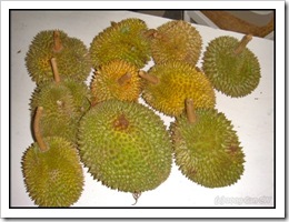 Durian-MYFH_20090630_2742-480