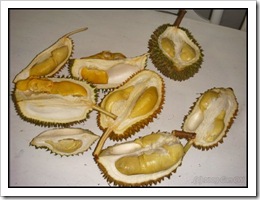 Durian-MYFH_20090630_2744-480