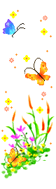 1a_scraps%20delicados.png