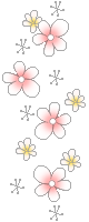 ff.png