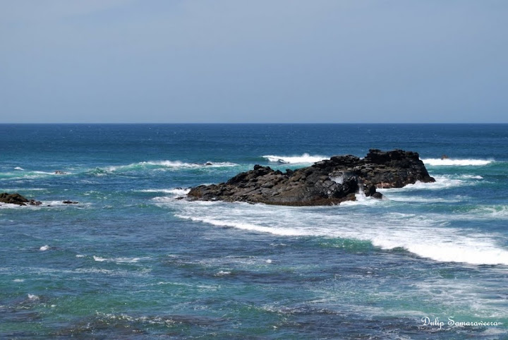 DSC_0391.JPG