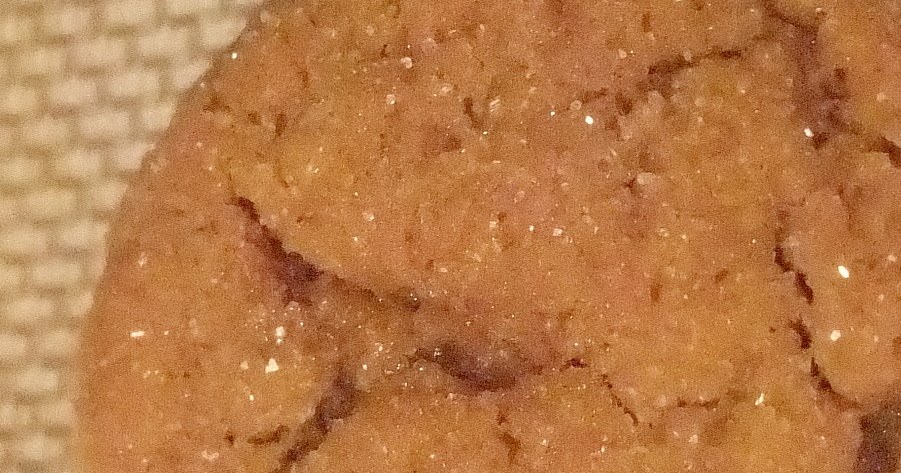 within-the-kitchen-soft-and-chewy-ginger-snaps-or-is-my-mother-a-liar