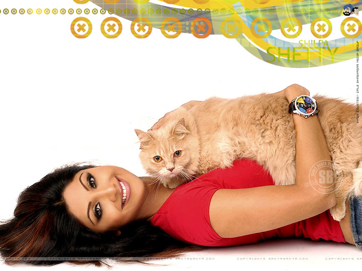 Shilpa Shetty, hot japanese girls, hot japanese models, cute young japanese models, hot asian girls, sexy japanese girls, hot girl wallpaper shi66v.jpg