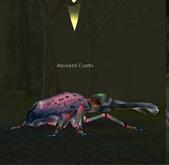 http://lh5.ggpht.com/_avCv3sod1aY/SsIhrWm1hBI/AAAAAAAAAiw/wZHI3yEakfg/AncientCurmi.JPG
